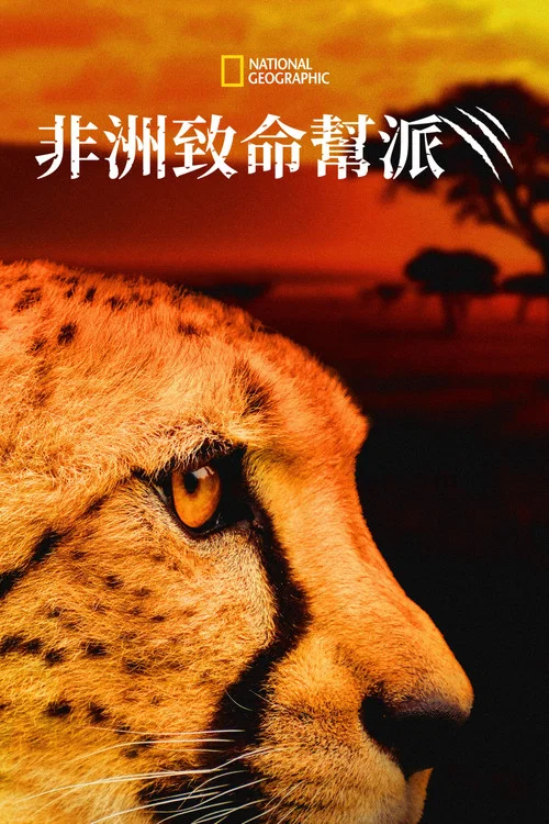 非洲致命动物第五季剧照2