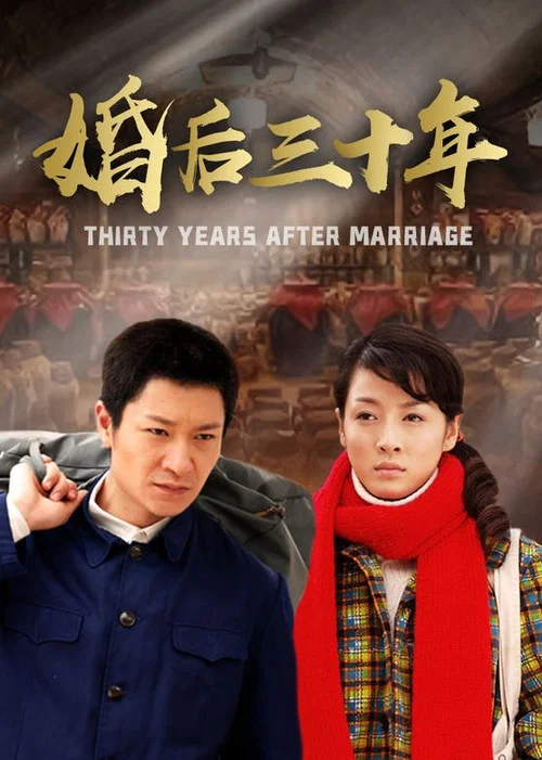 婚后三十年(2009)海报