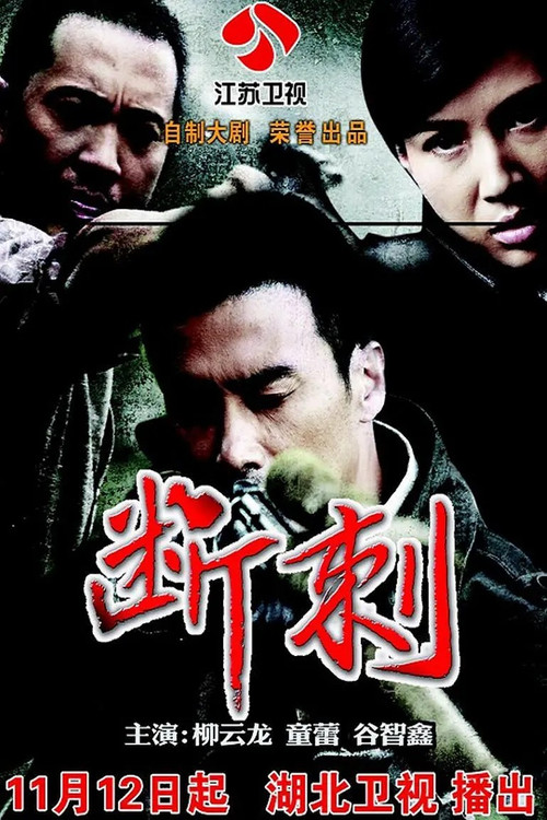 斷刺(2011)海報