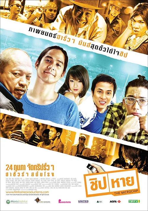 瘋狂的晶片(2011)海報