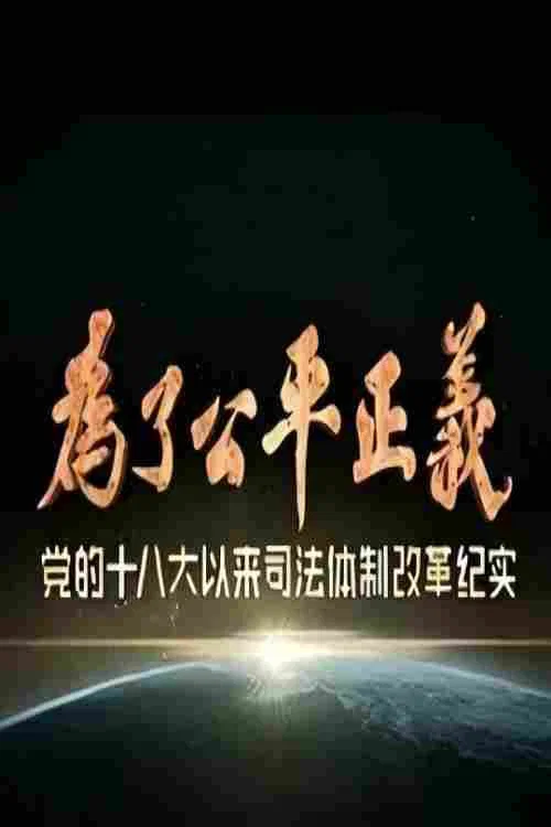 為了正義(2017)海報