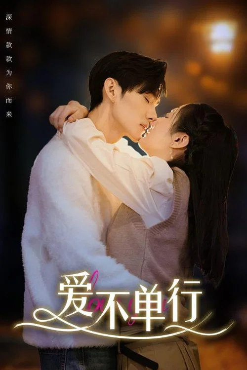 爱不单行(2024)海报