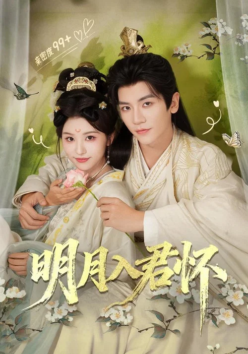 明月入君怀(2026)海报