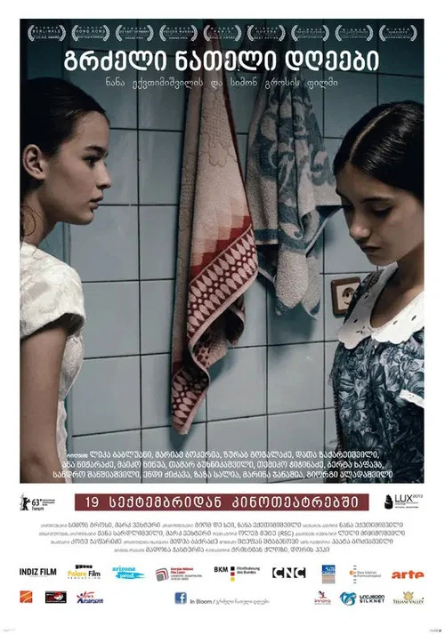 豆蔻年华(2013)海报