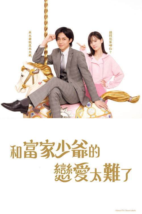 戀上少爺太難了(2025)海報