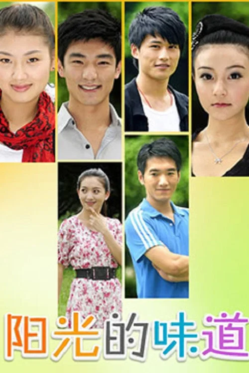 陽光的味道(2010)海報