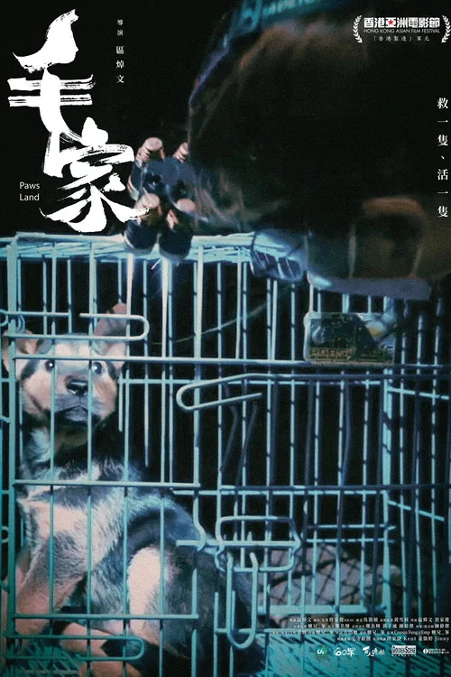 毛家 2024(2025)海報