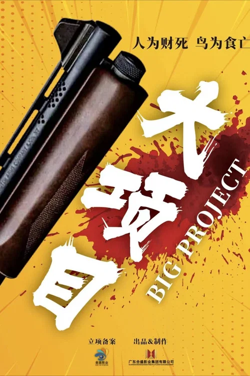 大项目(2024)海报