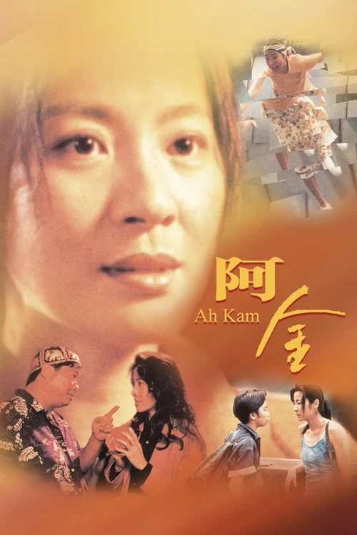 阿金(1996)海报
