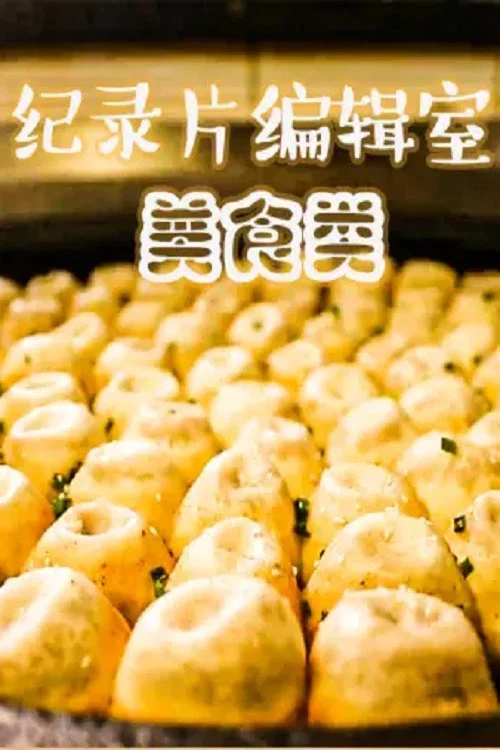 纪录片编辑室(2018)海报