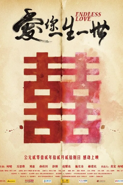 愛你一生一世(2012)海報