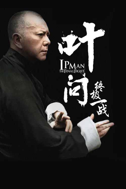 叶问:终极一战 普通话版(2013)海报