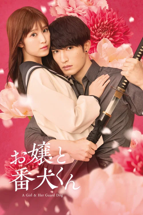 大小姐和看门犬(2025)海报