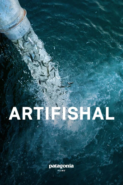 Artifishal(2019)海報