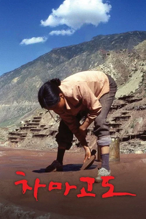 茶马古道(2007)海报