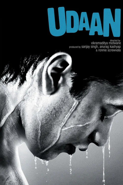 飞行(2010)海报