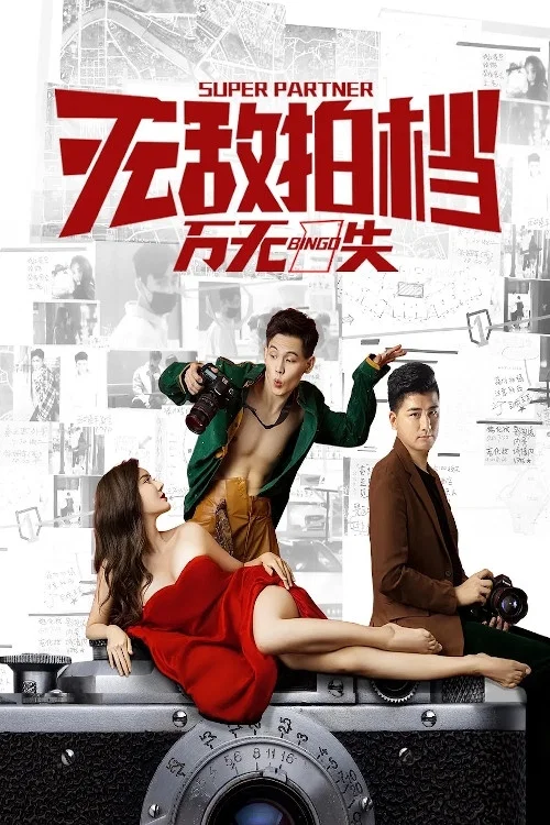 无敌拍档之万无一失(2020)海报