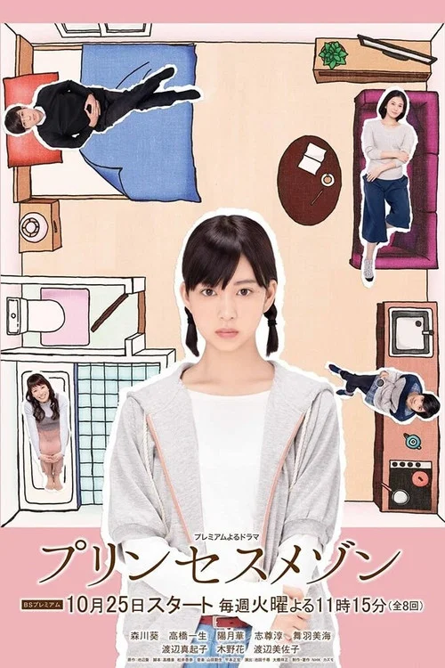 房主(2016)海报