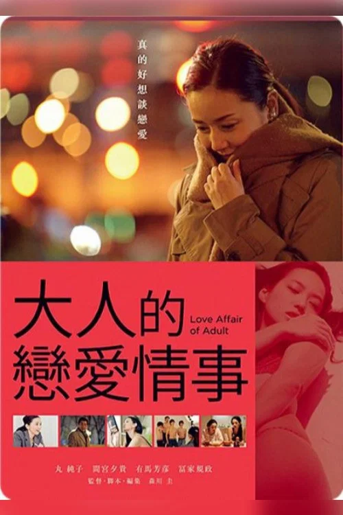 成年人的愛情故事(2016)海報