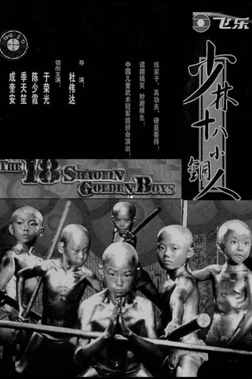 銅馬鐵燕傳奇海報