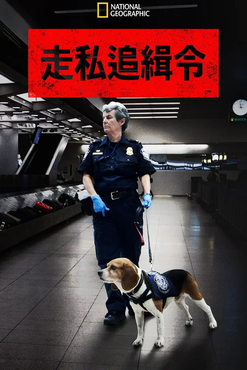 走私追缉令 第八季剧照3