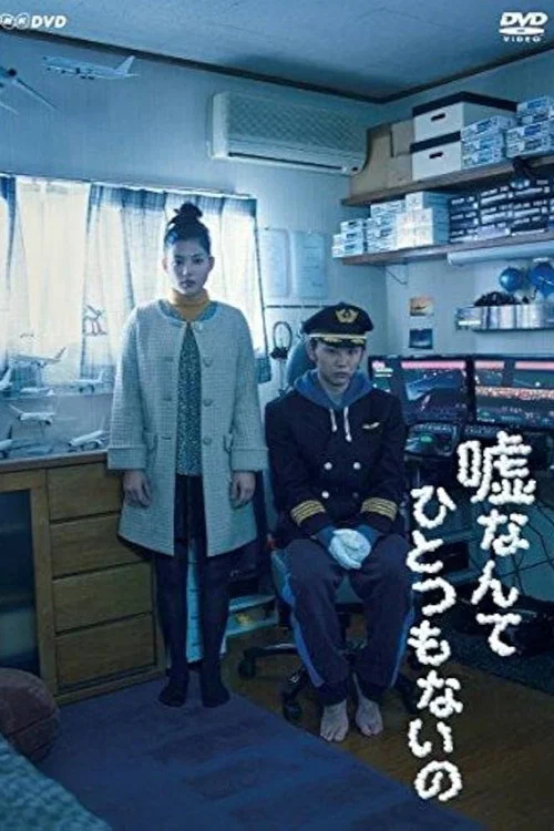 谎言什么的 一个都没有(2017)海报