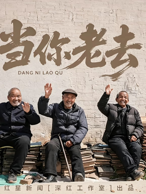 当你老去(2026)海报