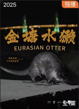 金塘水獭(2025)海报