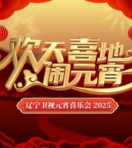 2025遼寧衛視元宵晚會(2025)海報