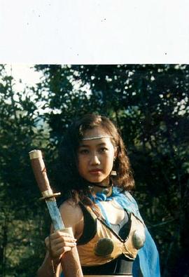 金粉红蝴蝶(1996)海报