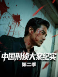 中國刑偵大案紀實第二季(2001)海報