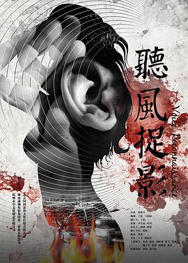 聽風捉影(2014)海報