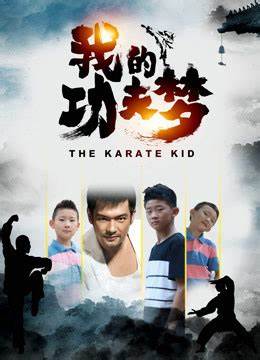 我的功夫梦(2020)海报