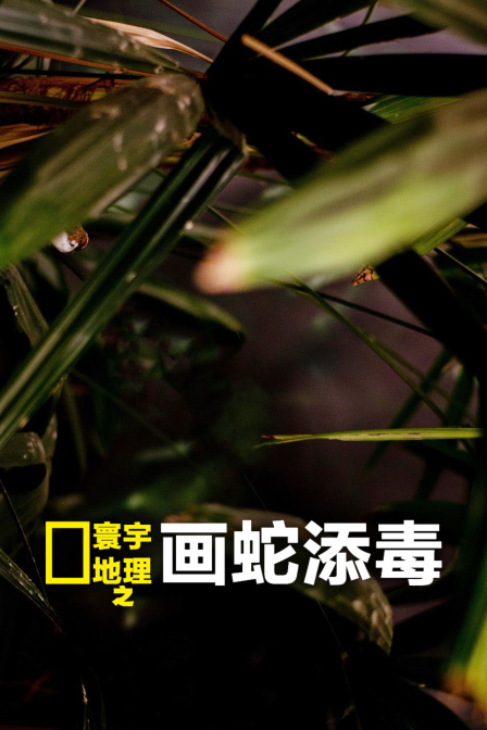 寰宇地理之畫蛇添毒(2010)海報