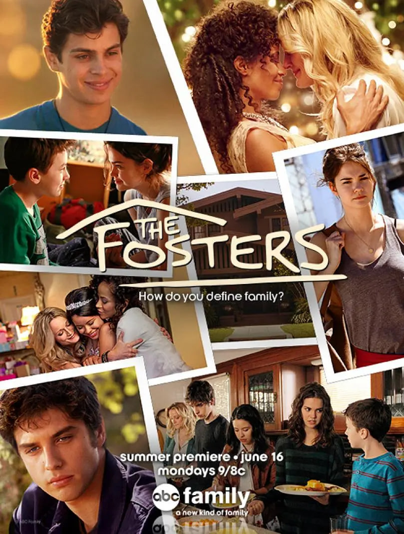 寄養家庭 第三季(2013)海報