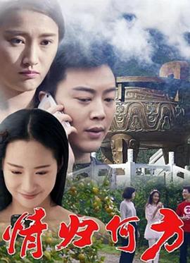 情歸何方(2017)海報