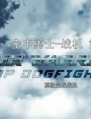 战机:空中勇士 第七季(2014)海报