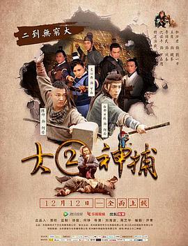 大二神捕(2016)海报