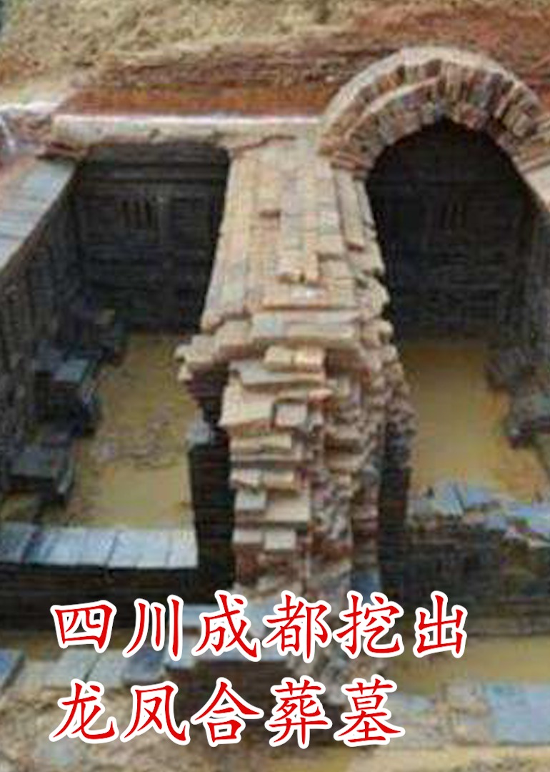 四川成都挖出龙凤合葬墓海报