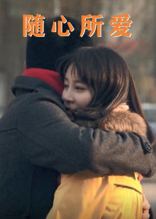 隨心所愛(2011)海報