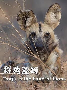 群狗逐狮(2018)海报