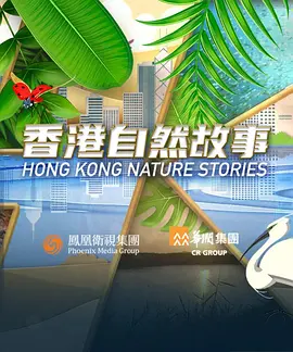 香港自然故事(2023)海报