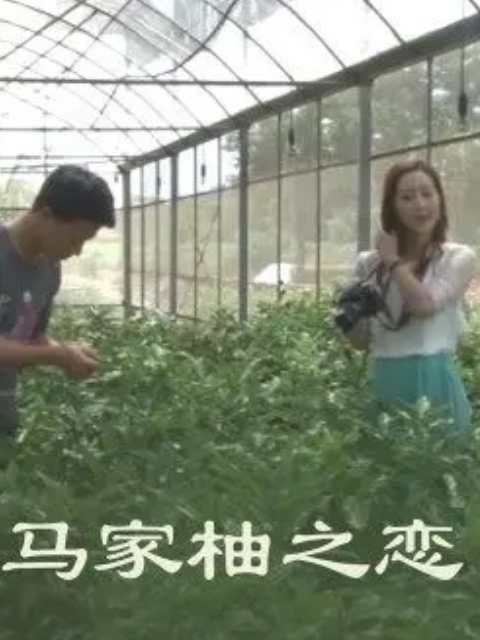 馬家柚之戀(2022)海報