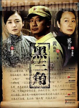 黑三角2008(2008)海报