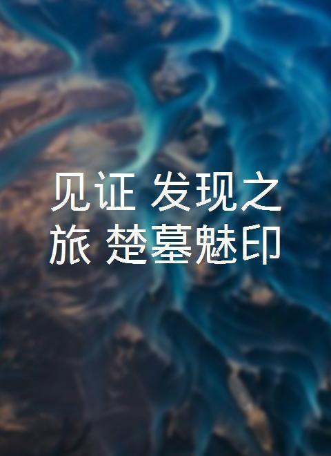 见证·发现之旅:楚墓魅印(2010)海报