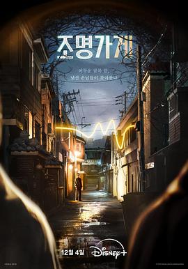 照明商店2024(2024)海報
