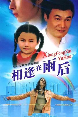 相逢在雨后(2007)海报