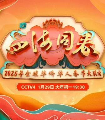2025全球华侨华人春节大联欢(2025)海报