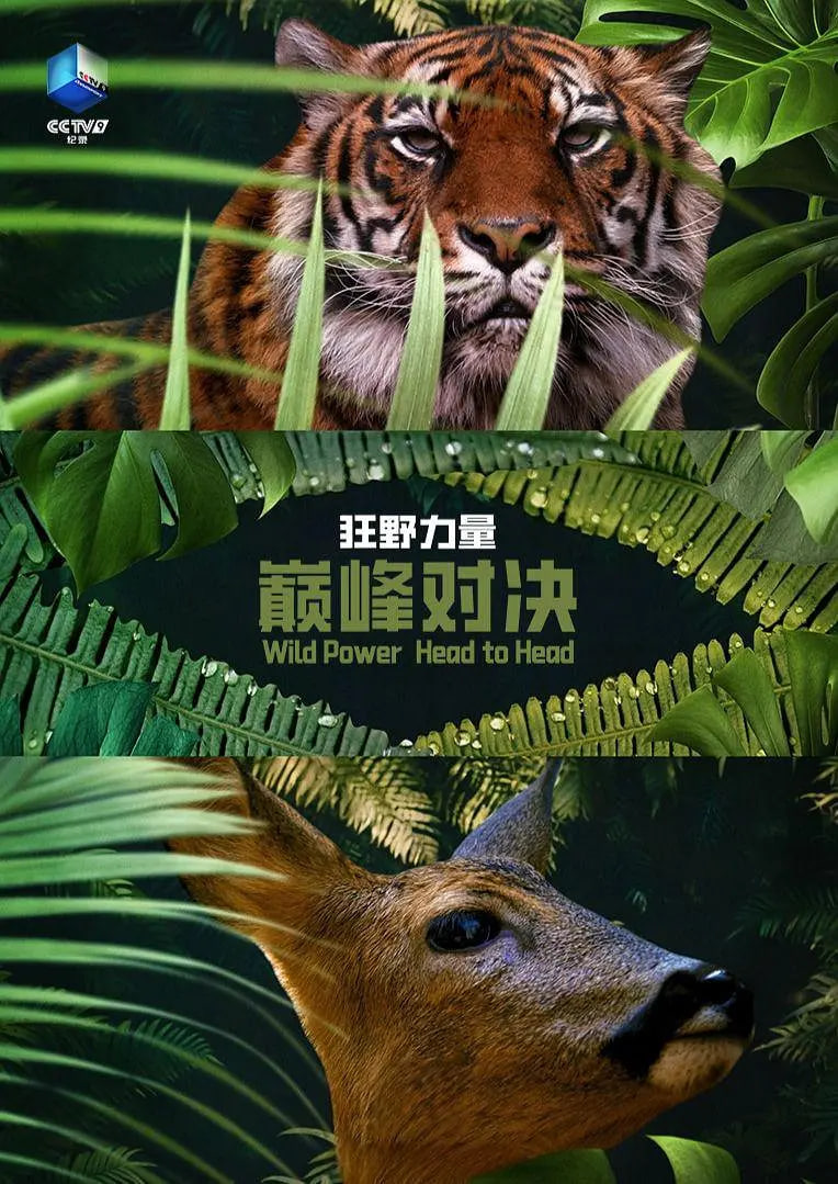 狂野的力量:巔峰對決 第一季(2026)海報