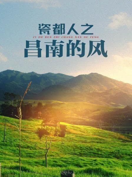 昌南的風(2012)海報